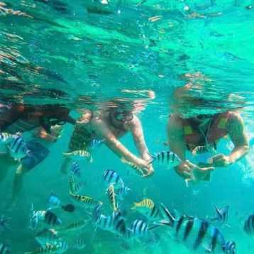 Tour lặn biển Nha Trang - Hòn Mun/ Đầm Bấy 1 ngày